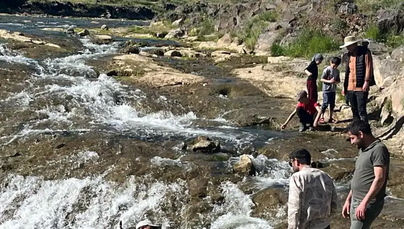 İnci Kefalinin Göçü: Binlerce Kilometreye Uzanan Muazzam Yolculuk
