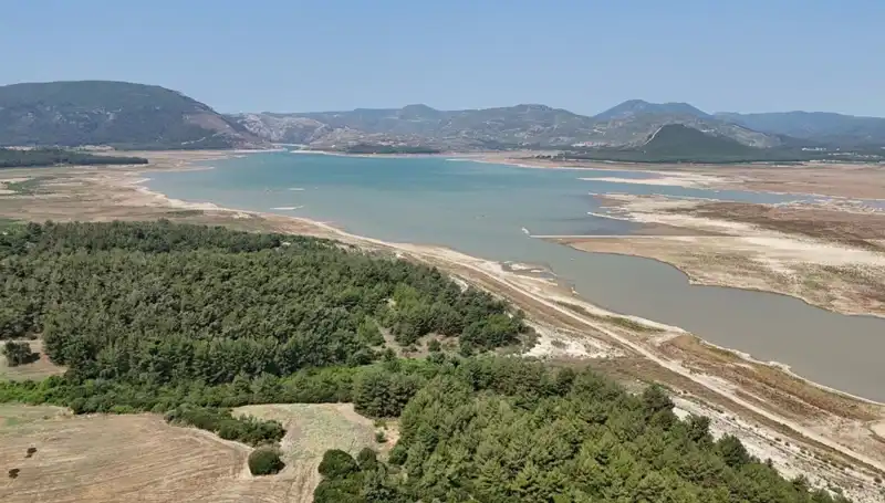 İzmir’de Tehlike Çanları Çalıyor: Geçen Yılın Verileri İnanılmaz Bir Düşüş Gösteriyor