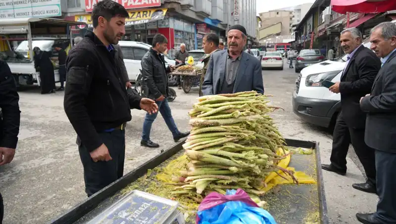 Dağlık Alanlardan Toplanan Şekerin Sağlığa Faydaları Neler?
