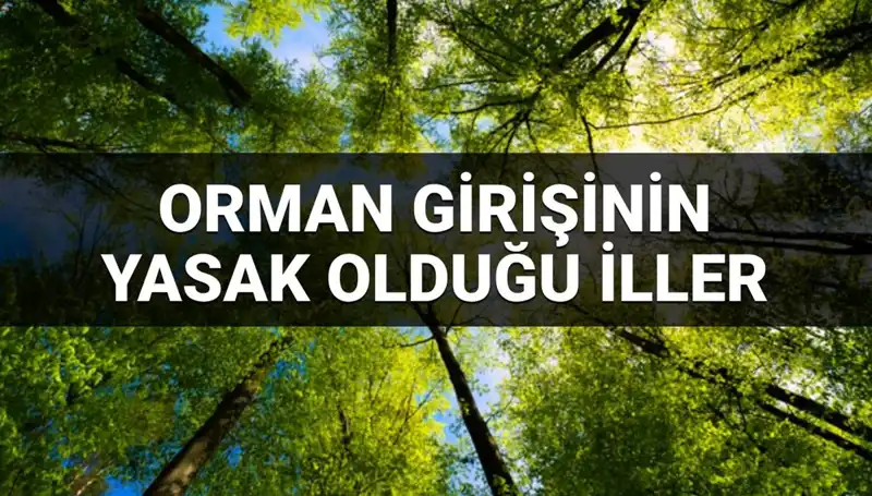 2025’te Ormana Girmek Yasak Olan İller Açıklandı: Sizi Şaşırtacak!