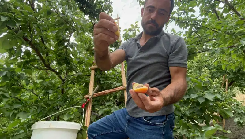 Damak Çatlatan Lezzet: 50 TL ile 70 TL Arasında Satılan Özel Ürün