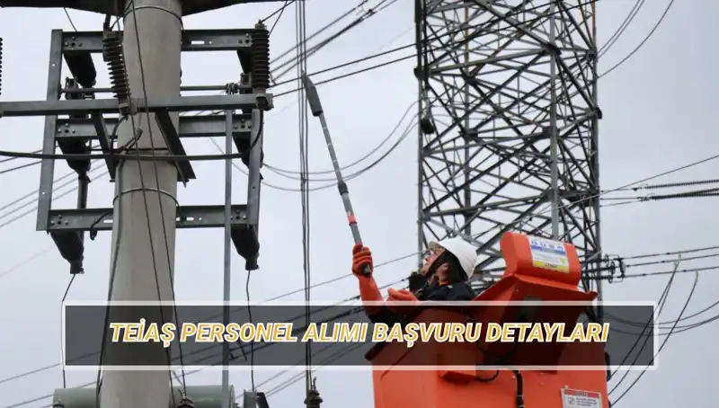 TEİAŞ Personel Alımı Süreci Başladı: Şartlar ve Başvuru Tarihleri