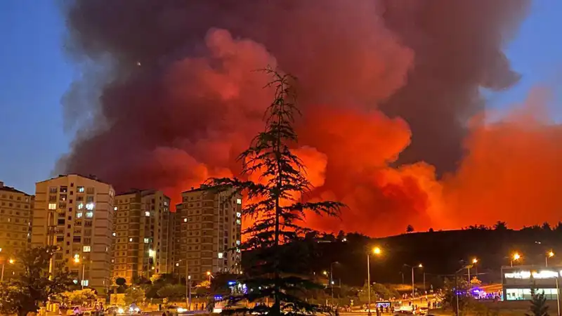 Bursa’da Yangın Alarmı: Şehirdeki Alevler Korkuttu