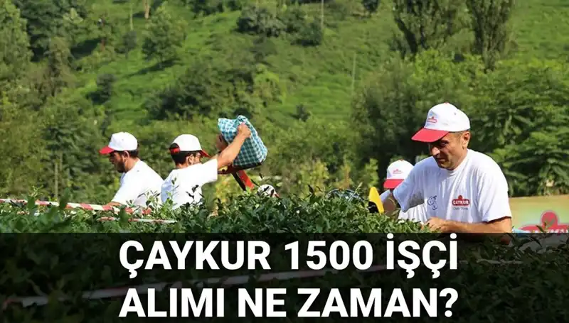 Çaykur İşçi Alımında Heyecan Verici Gelişmeler: Başvuru Tarihleri Açıklandı!