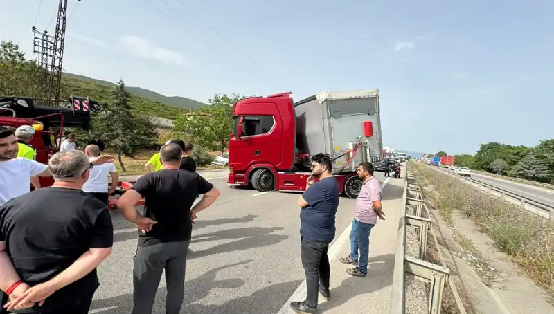 Seyir Halindeyken Arı Soktu: Şok Anlar ve Trafik Kaosu!