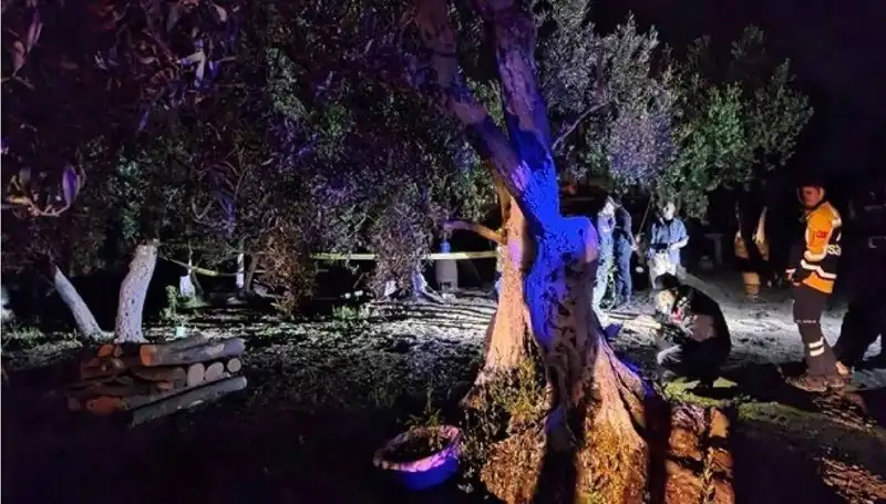 Çiftlikteki Baltalı Vahşet: Bir Tutuklama, Hayvanlara Kötü Muameleye Son!