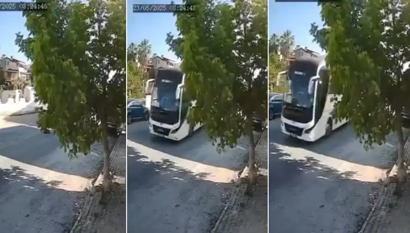 Yolda Yatan Köpeği Ezip Geçen Sürücü İle İlgili Olay Patlak Verdi!