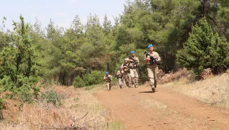 Kilis’te Orman Yangınlarıyla Mücadele: Ekipler Denetim Aşamasında