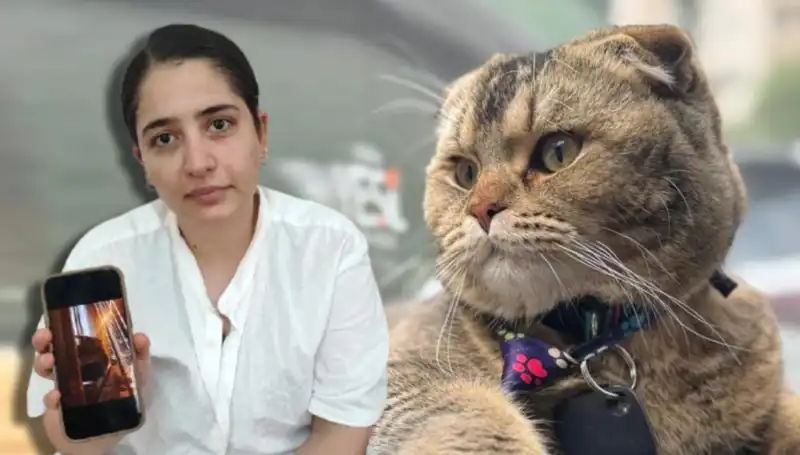 Evliliği Kedi Belirliyor: "Eşim Beni Boşayacak" Dediği Olay