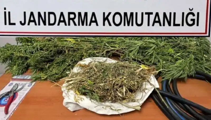 Niğde'de Uyuşturucu Operasyonu: Polisten Şok Baskın