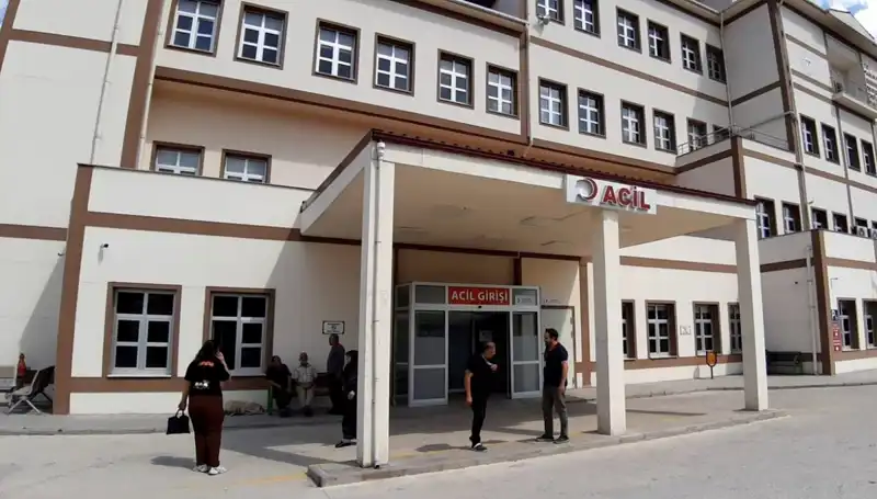 Bolu'da Ayı Avı Kararına Tepkiler: Doğa ve Eko-sistem Risk Altında