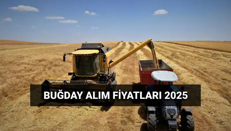 Hububat Alım Ücretleri İçin Tarih ve Fiyatlar Açıklandı!