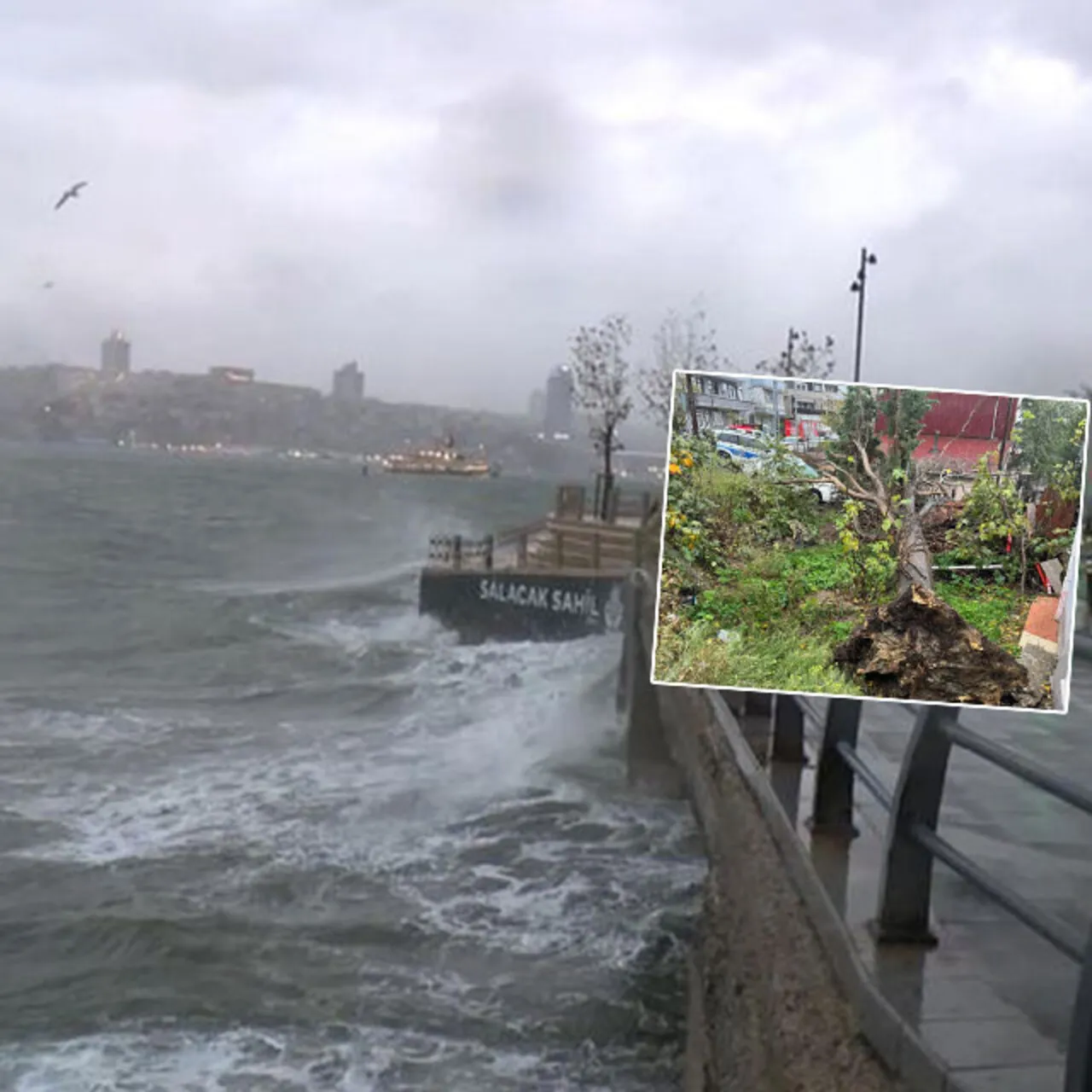 Marmara'da Şiddetli Fırtına Hayatı Felç Etti: Ağaçlar Devirdi, Seferler Aksadı!