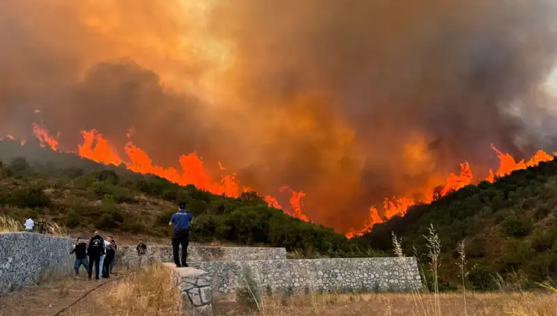 Bursa, Kocaeli ve İzmir'deki Orman Yangınları, Doğayı Kayıplarla Sarsıyor!