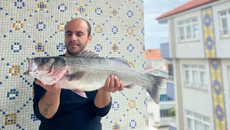 Dev Levrek, 7,5 Kiloluk Avıyla Balıkçılar Arasında Heyecan Yarattı
