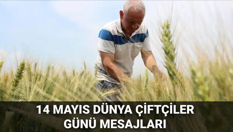 14 Mayıs Dünya Çiftçiler Günü 2025: Anlamlı Mesajlar ve Kutlama Önerileri
