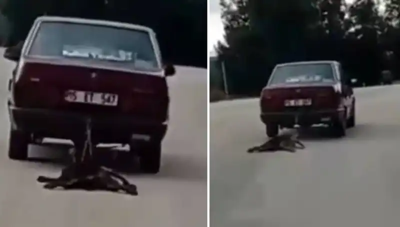 Otomobilin Arkasında Sürüklenen Köpek: Şoke Eden Görüntüler!