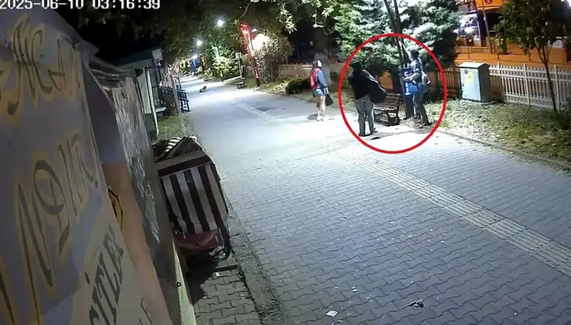 Aydınlatma Direklerindeki LED'ler Hızla Sökülüyor: 300 Bin TL’lik Zarar!