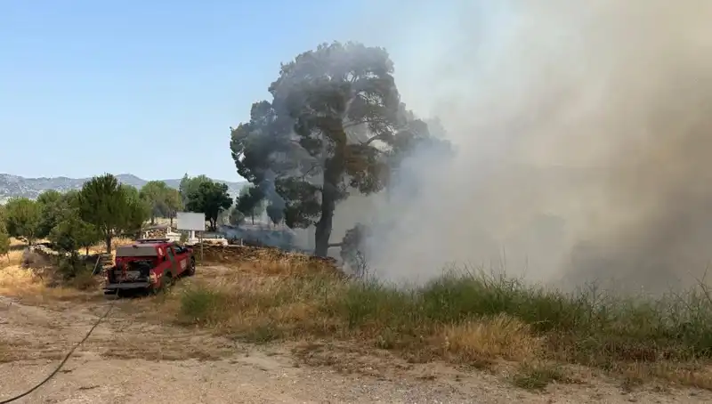 Muğla'da Orman Yangını: Doğa Savaşcıları Görevde, Yangın Kontrol Altına Alındı