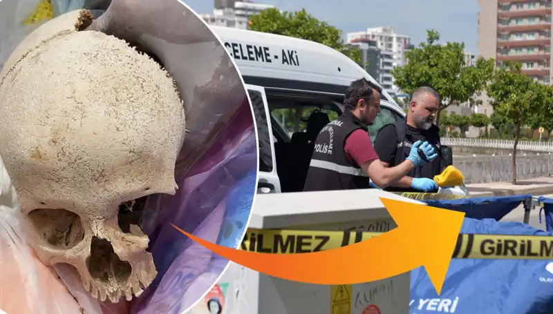 Sitenin Çöpünde Bulunan Kafatasının Gizemi ve Doktorun Gözaltına Alınması