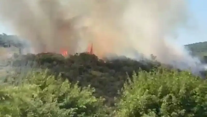 İstanbul Orman Yangını: Binlerce Vatandaş Zamanla Tahliye Edildi