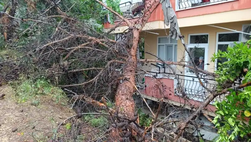 Yoğun Yağışlar, Yıkılan Bina ve Olayın Detayları: Gözler Olay Yerinde