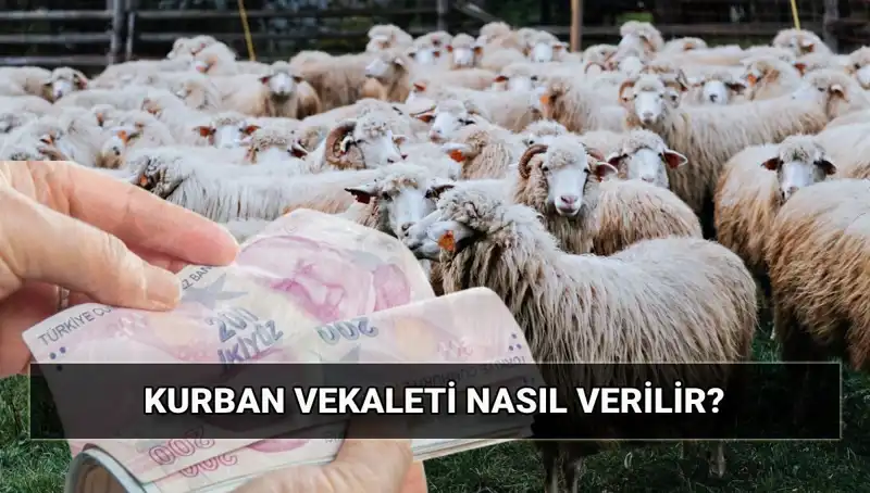 Vekaletle Kurban Kesilir mi? Diyanet'ten 2025 Bedeli Hakkında Bilgi