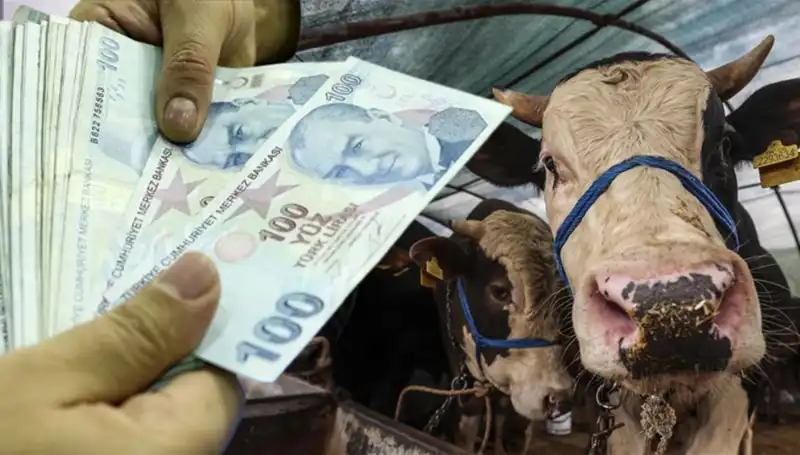 Emekli ve Memurların Maaşları Bayram Öncesi Hesaplarda mı?