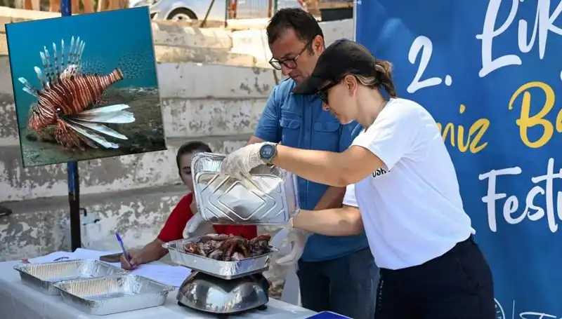 Antalya’da İstilacı Aslan Balığı Avlama Yarışması: Doğanın Korunması İçin Heyecanlı Bir Mücadele